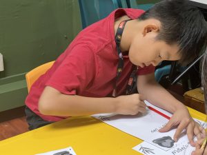 Comprehensive phonics classes that make learning to read fun for children